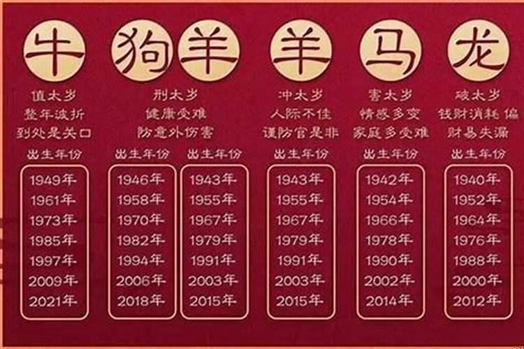 2023年属什么生肖运