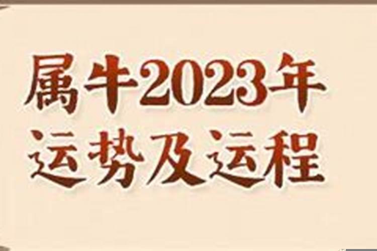 1985年属牛2023年全年运势